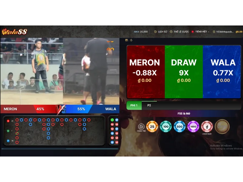 MERON – WALA – DRAW là gì? (Theo mô tả thể lệ)